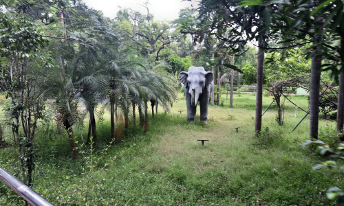 Gandhi park